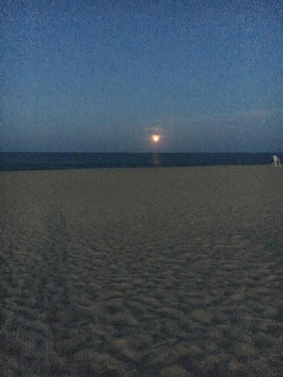 Villa South Boardwalk 507 Rehoboth Beach Exterior foto